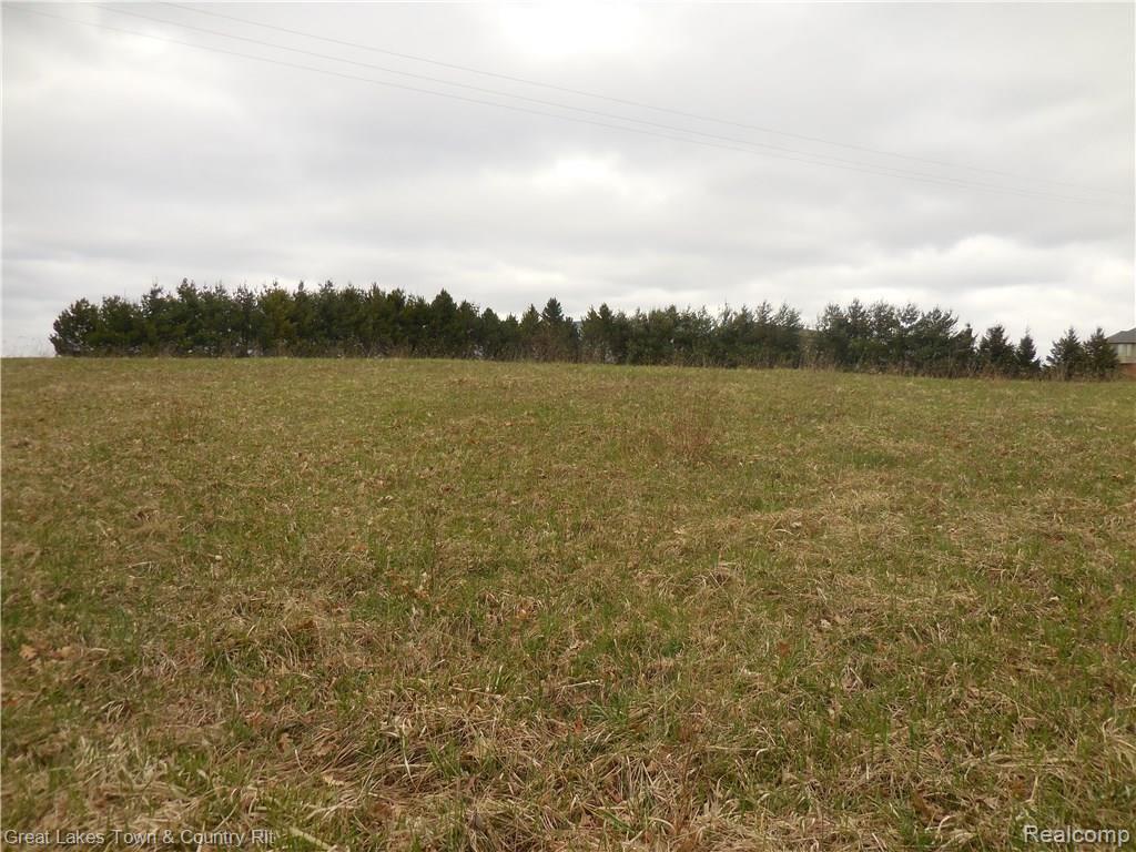 2 B Attica Road Attica, MI 48412 - Photo 3 of 16