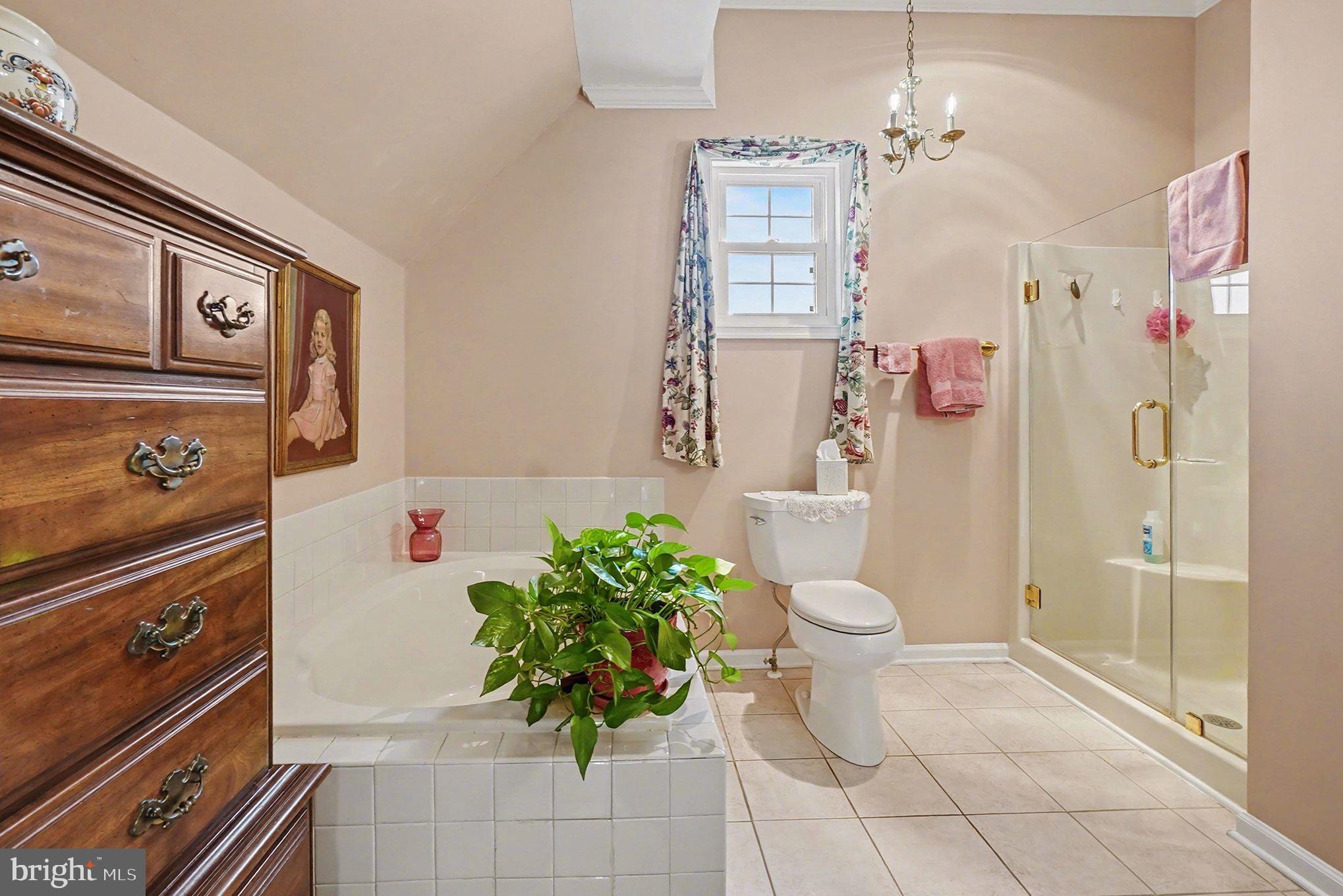 202 Pointe Way, Unit 202B Havre de Grace, MD 21078 - Photo 32 of 72 a spacious bathroom with a toilet a sink and shower
