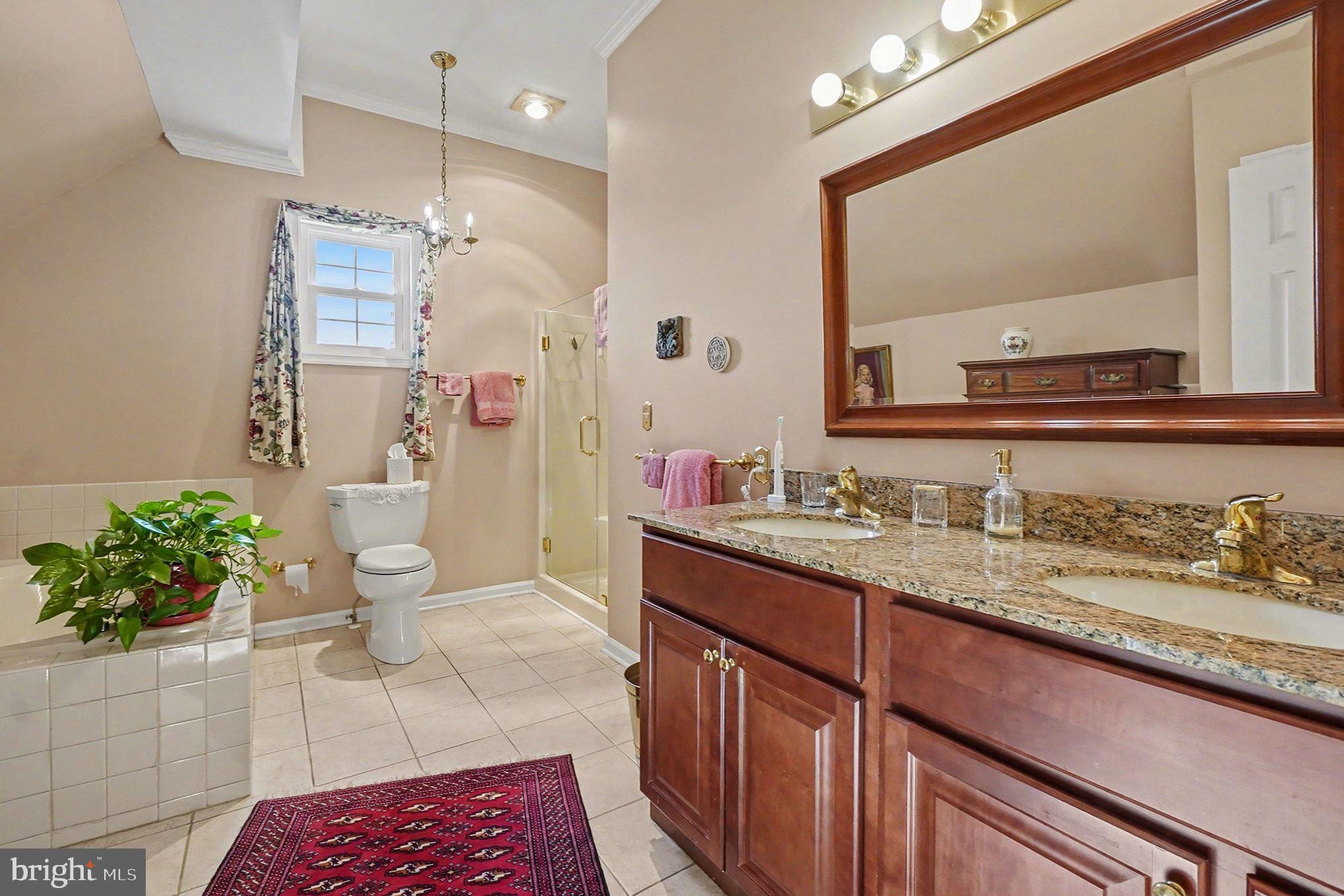 202 Pointe Way, Unit 202B Havre de Grace, MD 21078 - Photo 33 of 72 a bathroom with a granite countertop sink a toilet and a mirror