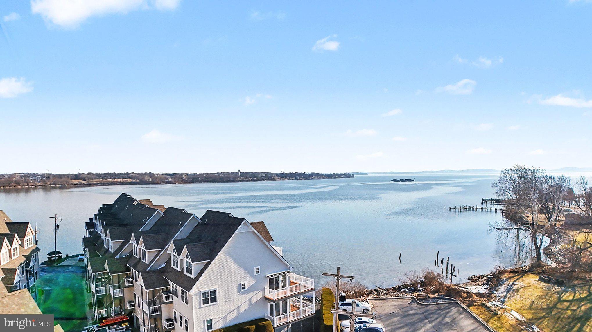 202 Pointe Way, Unit 202B Havre de Grace, MD 21078 - Photo 61 of 72 Susquehanna flats