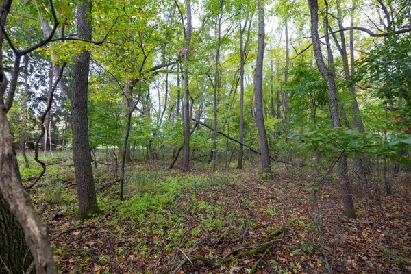 $165,000 | 5.06-acres 5.06-acres County Street, Horicon, WI 53032