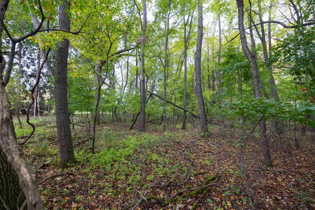 $165,000 | 5.06-acres 5.06-acres County Street, Horicon, WI 53032