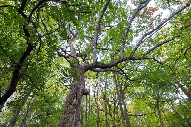 $165,000 | 5.06-acres 5.06-acres County Street, Horicon, WI 53032