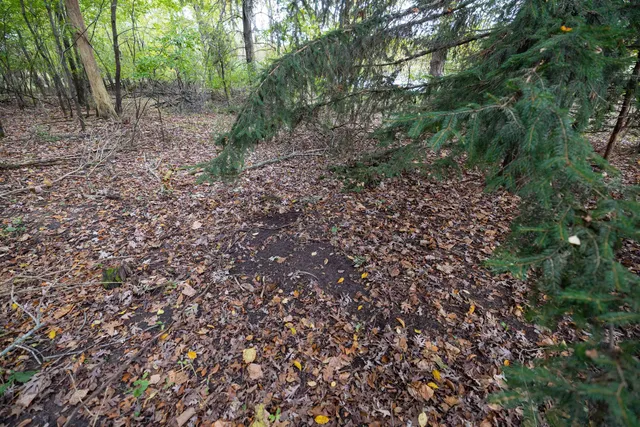 $165,000 | 5.06-acres 5.06-acres County Street, Horicon, WI 53032