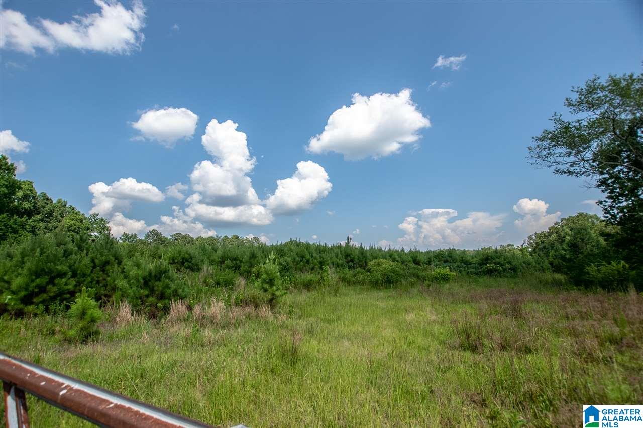 Justice Road, Unit 1 Sumiton, AL 35148 - Photo 3 of 3