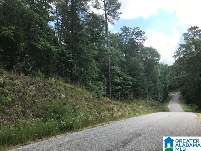 Mountain View Vance, AL 35490 - Photo 2 of 28