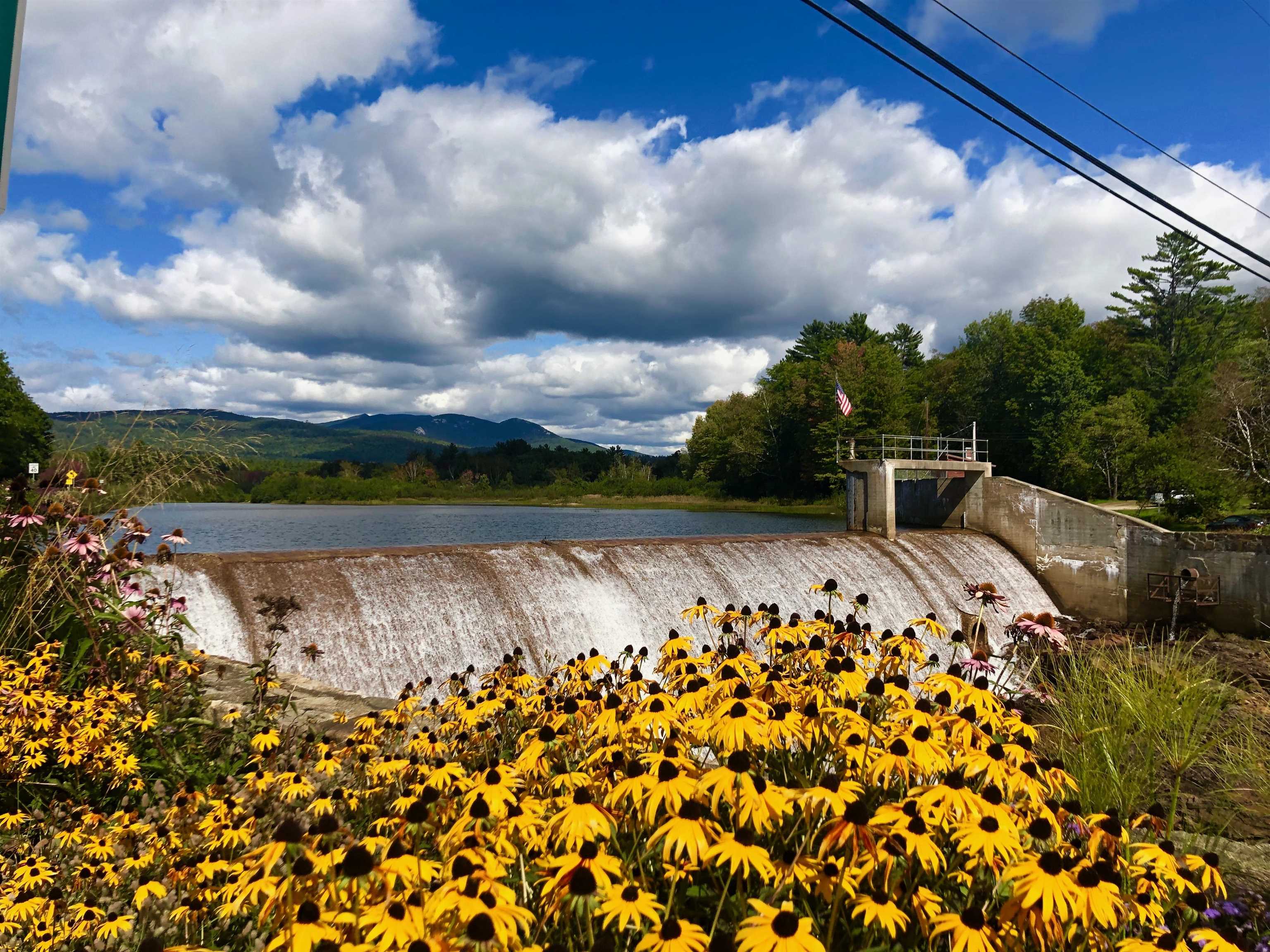 38 Chesley Road Campton, NH 03223 - Photo 19 of 28