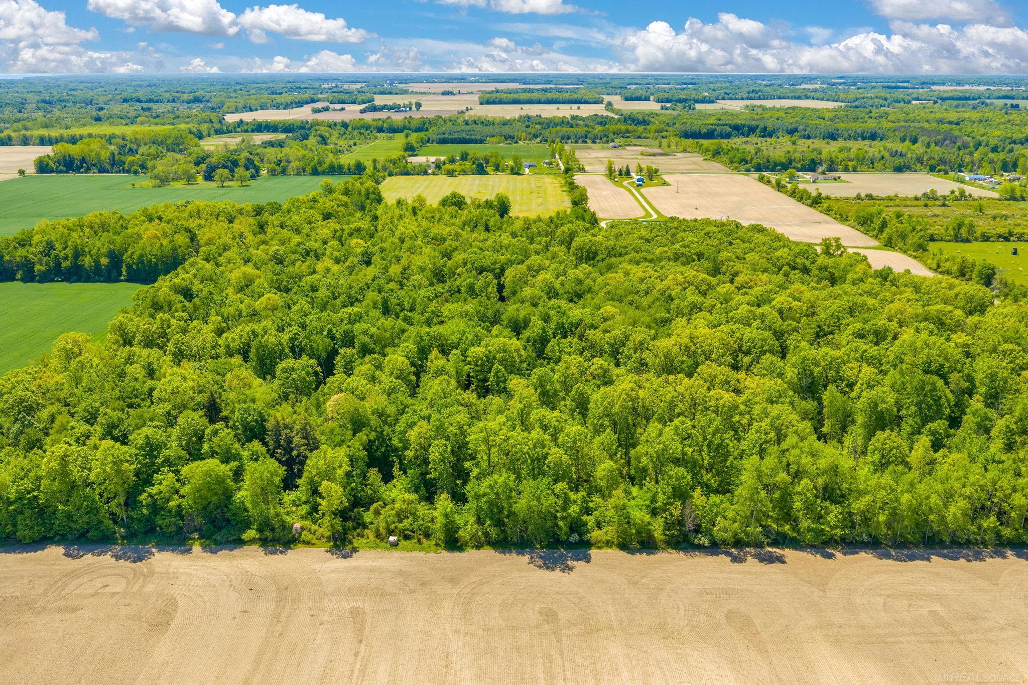 0 Wellman Line Road Yale, MI 48097 - Photo 7 of 10