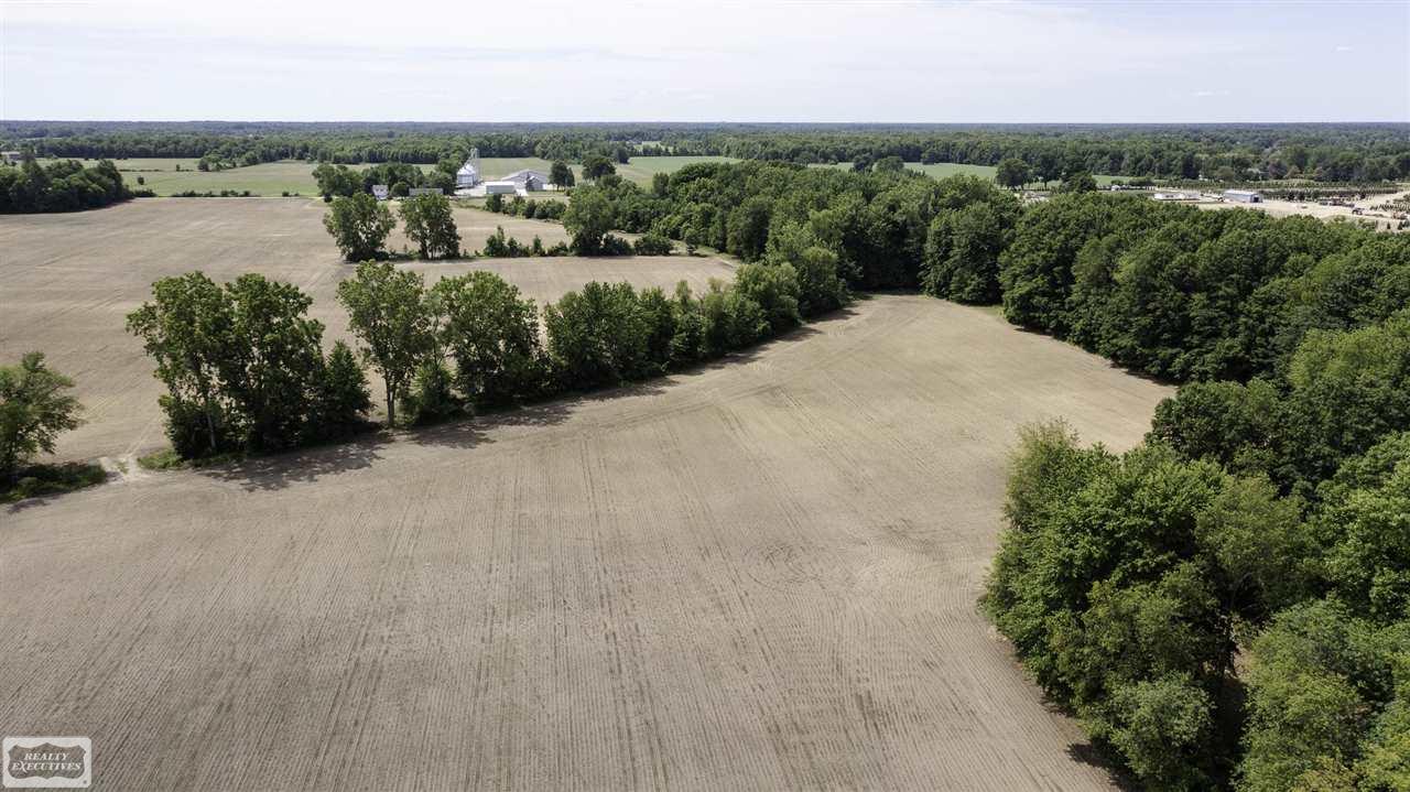31 31 Mile Road New Haven, MI 48050 - Photo 4 of 10