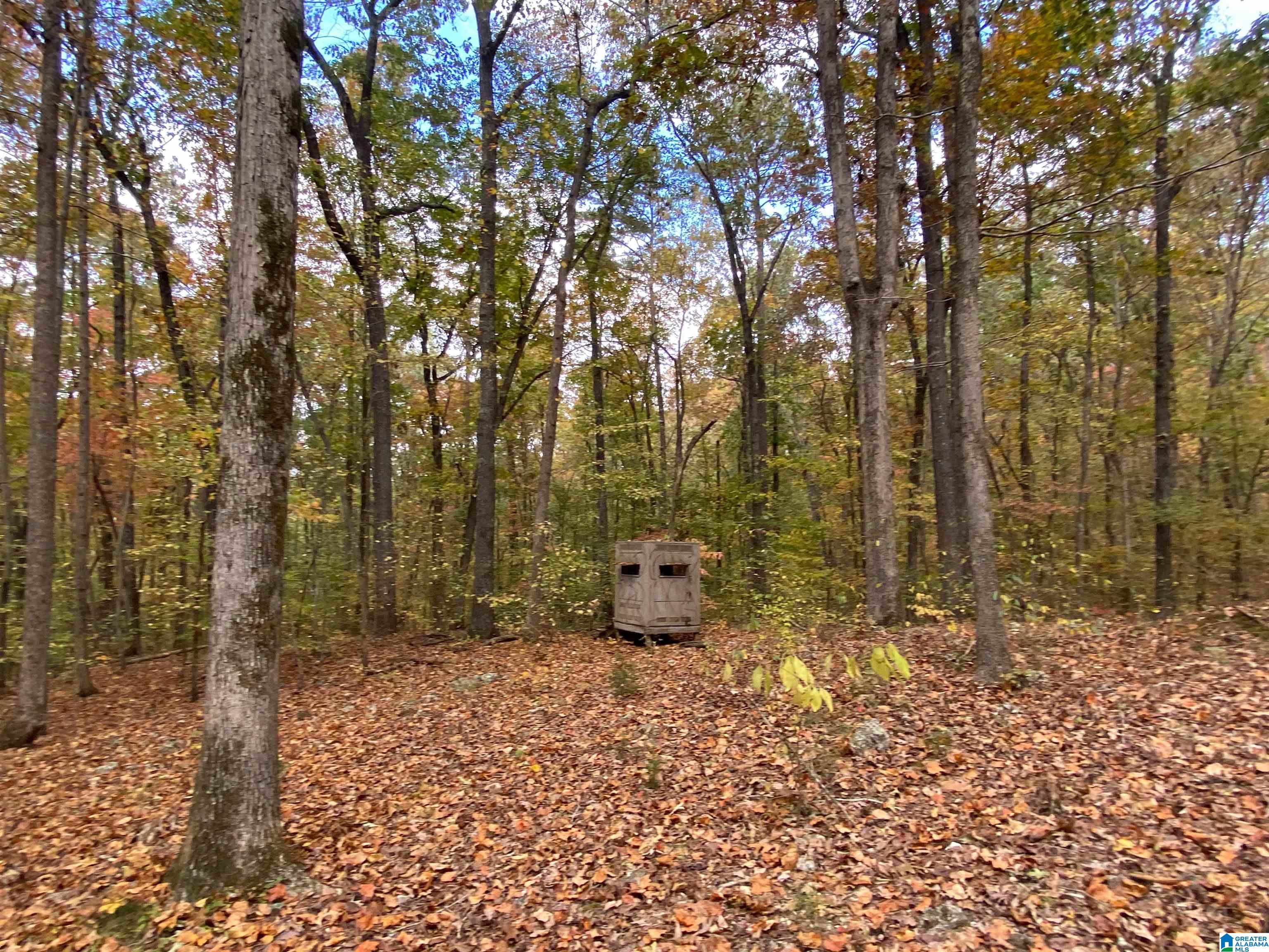 23 Highway Acres Al, Unit 11 45 Springville, AL 35146 - Photo 1 of 7 Gallery Image 1