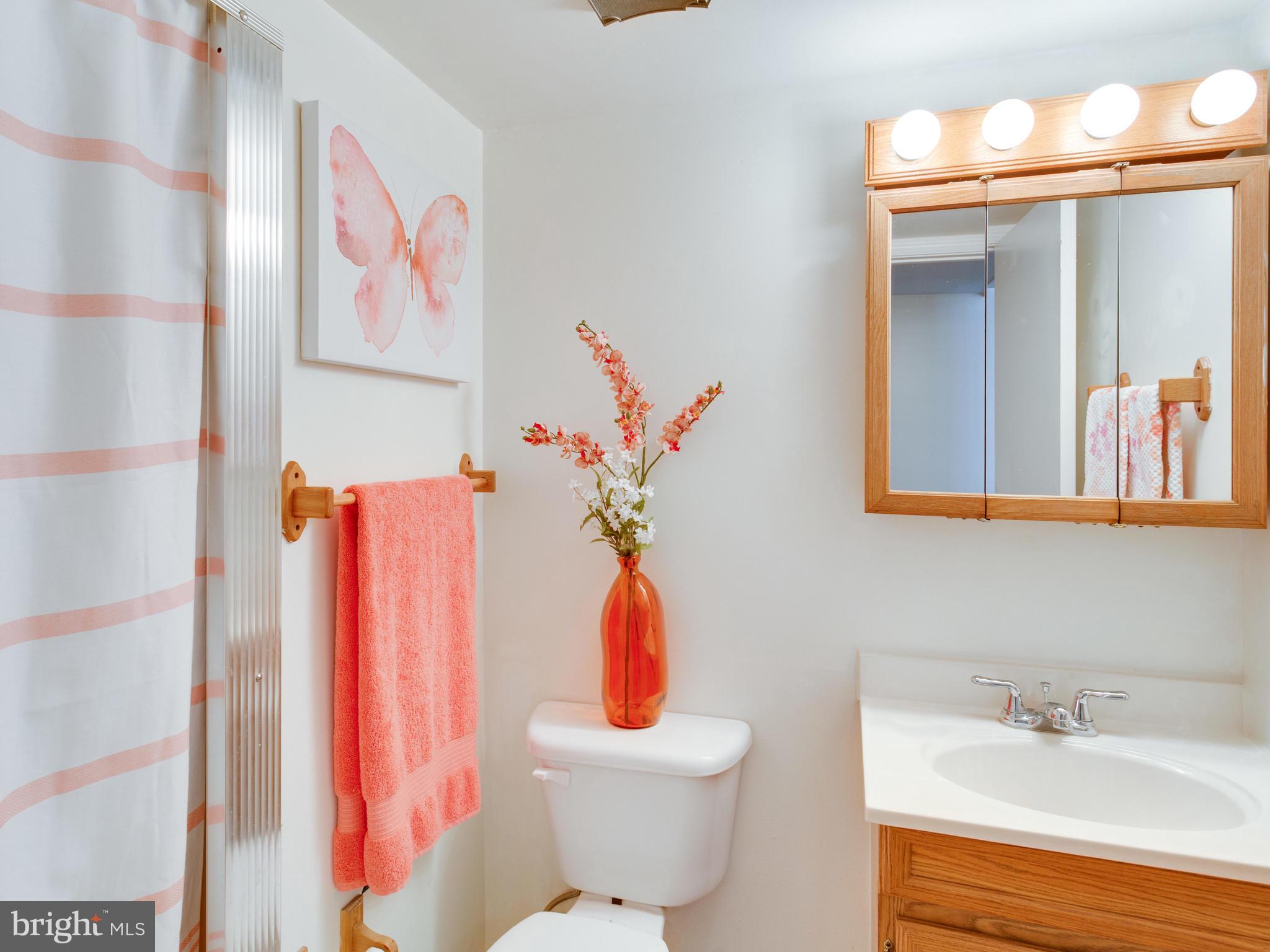 330 Royer Road Westminster, MD 21158 - Photo 35 of 57 Lower Level Full Bathroom