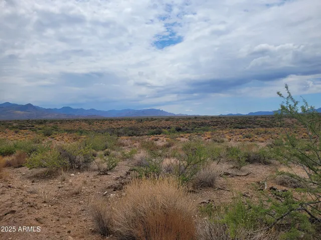 a view of a lake in middle of forest