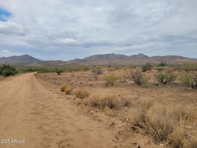 a view of a bunch of trees in all around