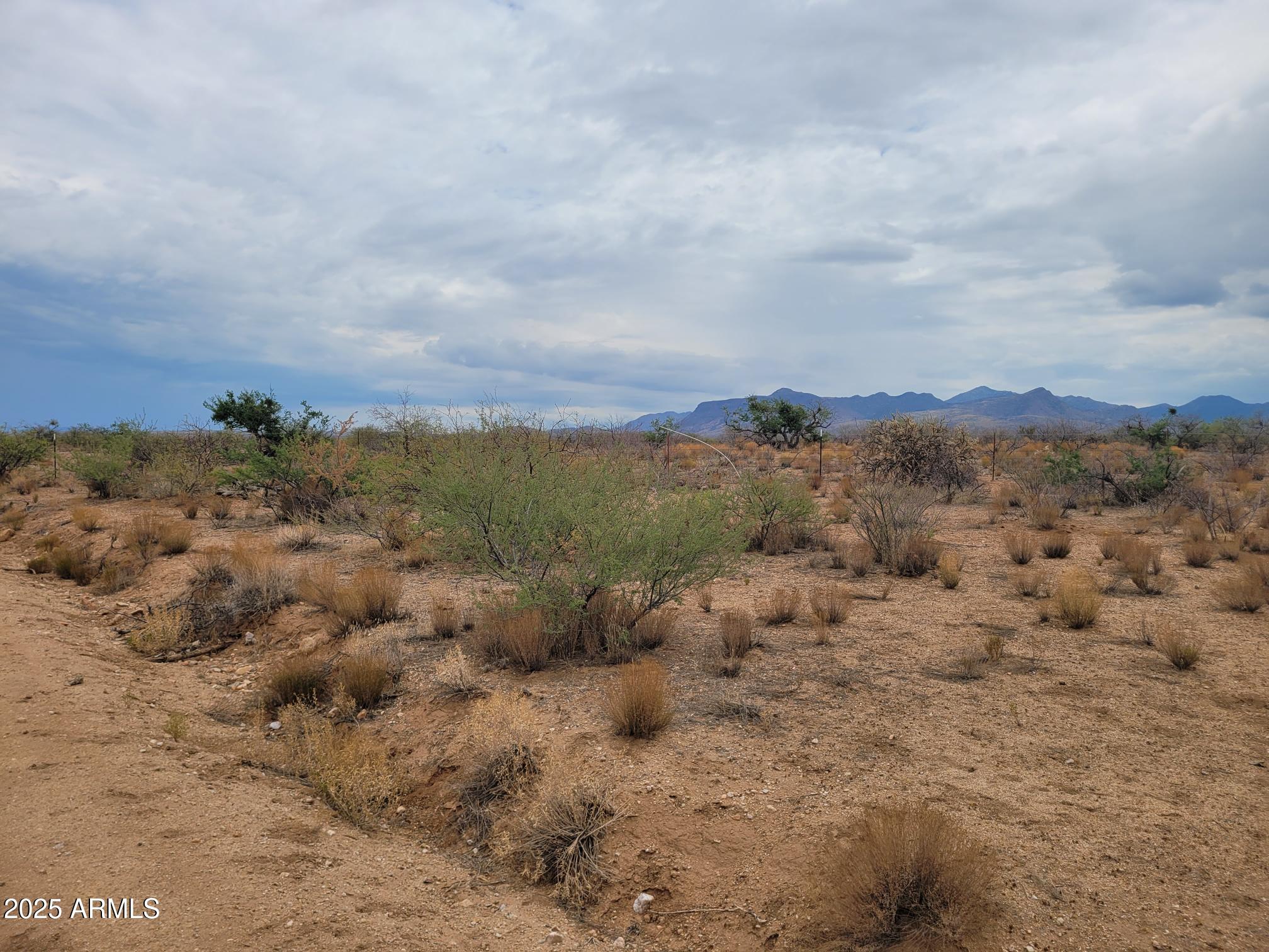 40-41 South San Peppy Road, Unit 40&41 Congress, AZ 85332 - Photo 10 of 11 a view of a bunch of trees in all around
