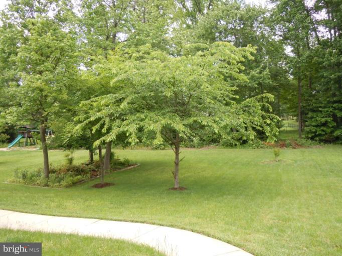 6732 Newington Road Lorton, VA 22079 - Photo 28 of 30 Back yard