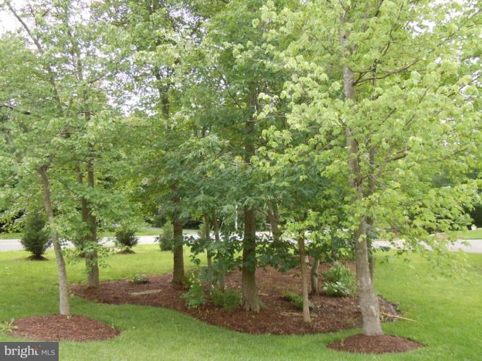 6732 Newington Road Lorton, VA 22079 - Photo 29 of 30 Front Yard