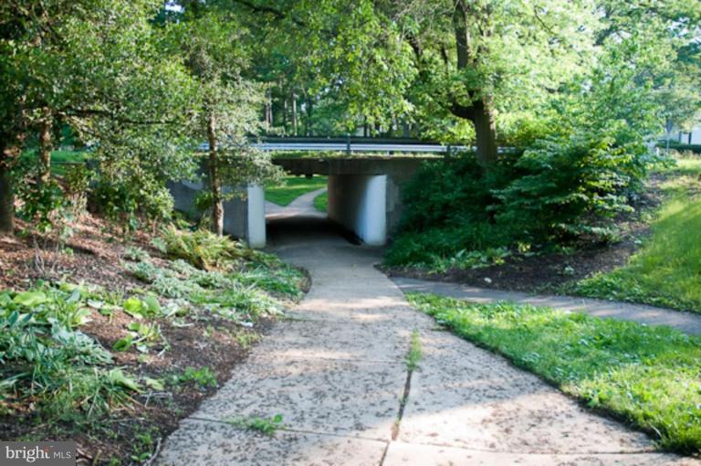 14 Ridge Road, Unit L Greenbelt, MD 20770 - Photo 7 of 20 Walking paths