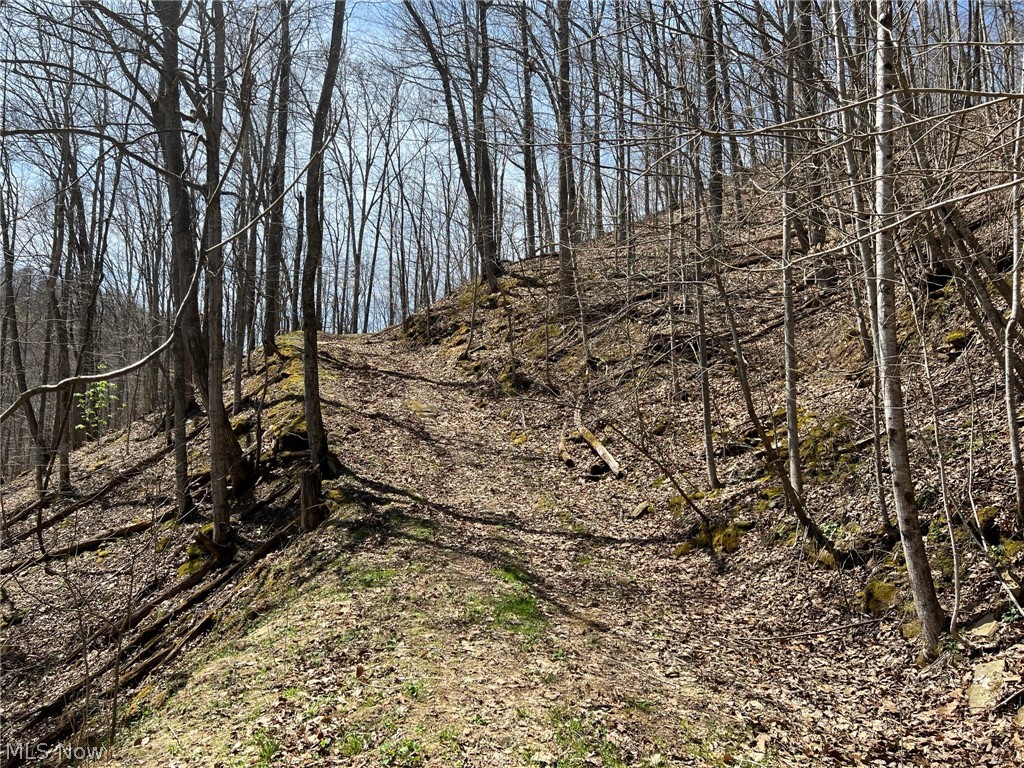 729 Deaden Run Road Gassaway, WV 26624 - Photo 13 of 23 Gallery Image 13