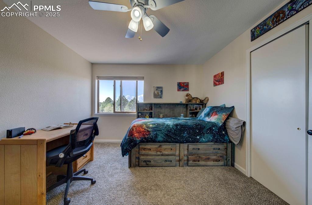 14650 Eastonville Road Elbert, CO 80106 - Photo 27 of 44 a bedroom with furniture and a window