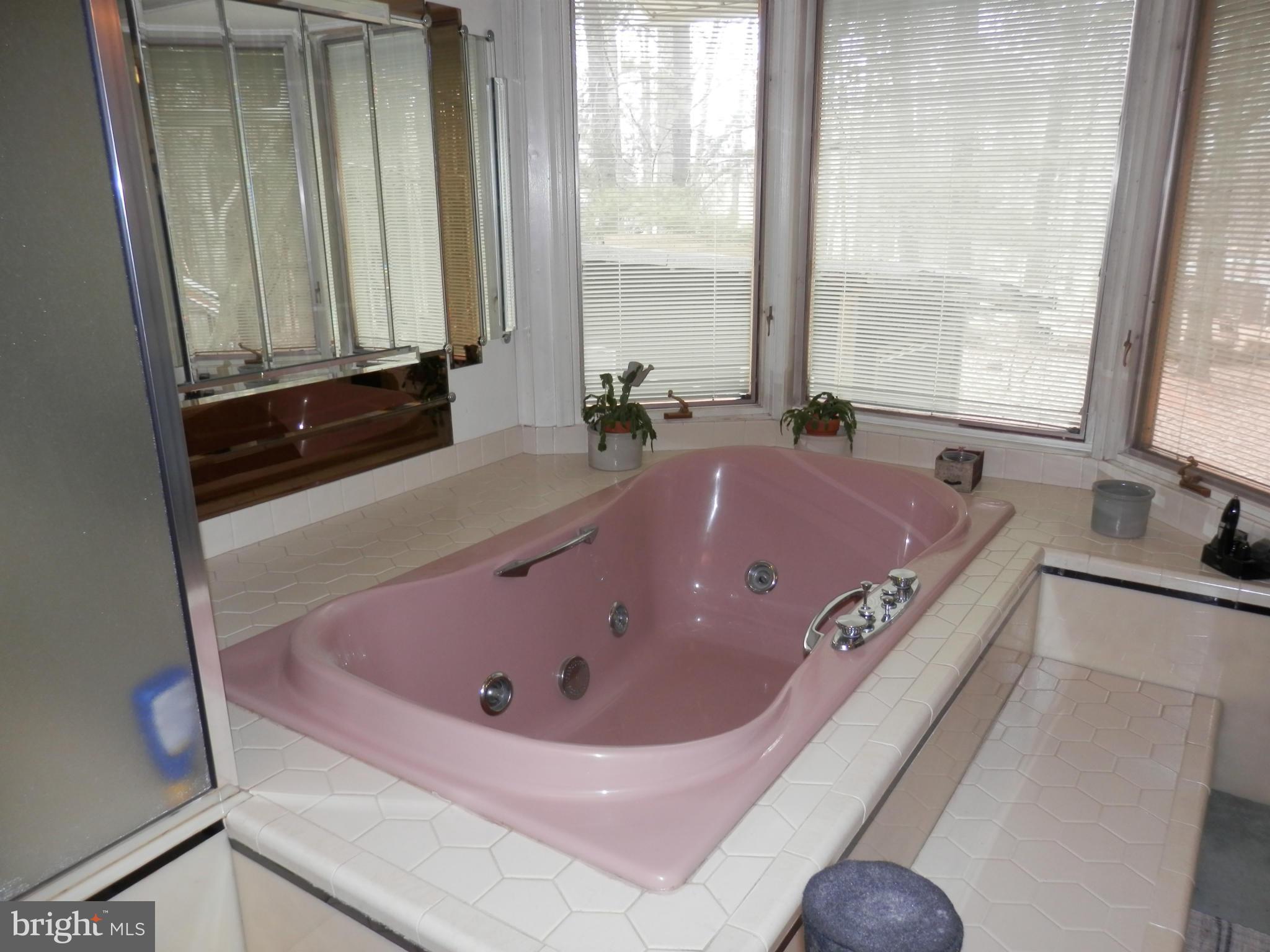 16800 Batchellors Forest Road Olney, MD 20832 - Photo 15 of 23 Separate Tub