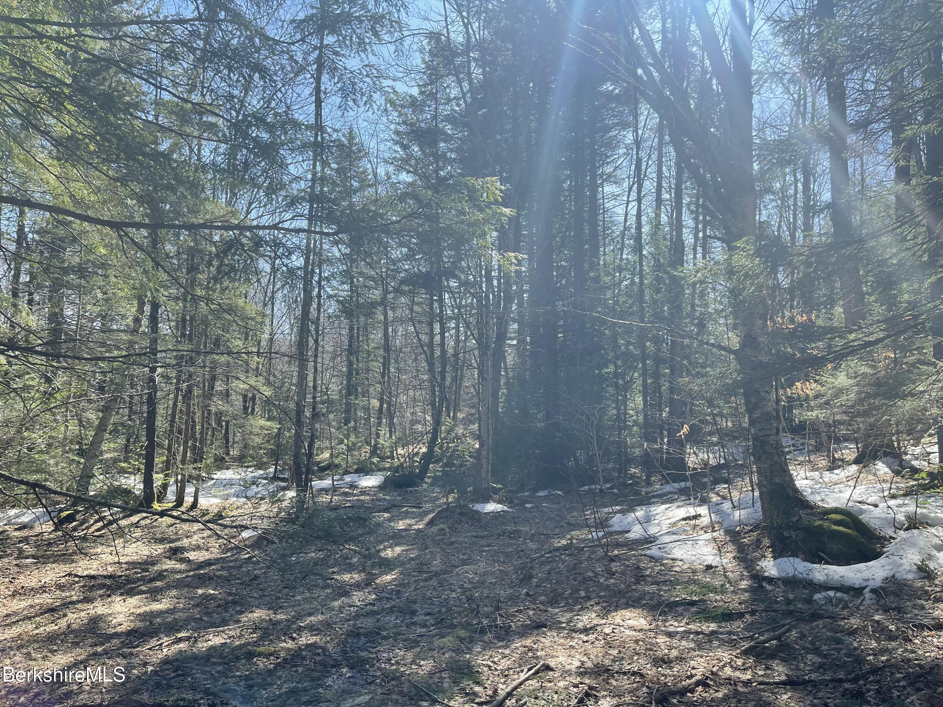 Lot 2 Central Shaft Road North Adams, MA 01247 - Photo 6 of 7 tempImageCfSlb7