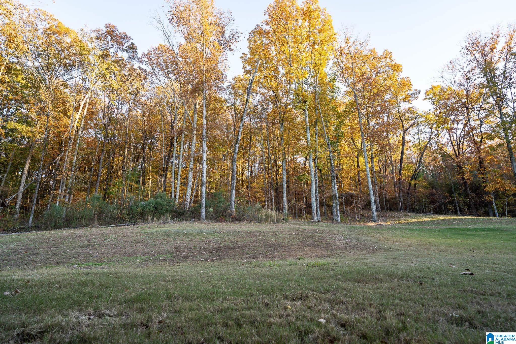 7313 Bayberry Road Helena, AL 35022 - Photo 3 of 5