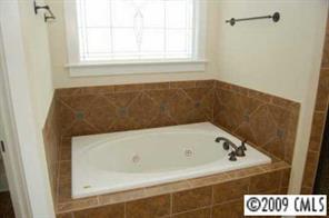 785 Revival Row Fort Mill, SC 29708 - Photo 6 of 8 a bathroom with a bathtub