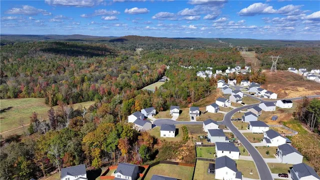 a view of a lush green hillside and a mountain