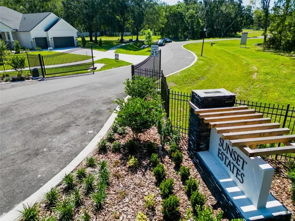 a view of a park with large trees