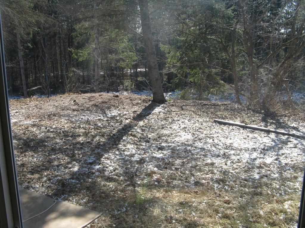 5584 West 12 Road Mesick, MI 49668 - Photo 32 of 73 1796970-35.JPG