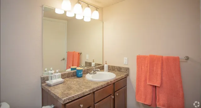 a bathroom with a sink and a mirror