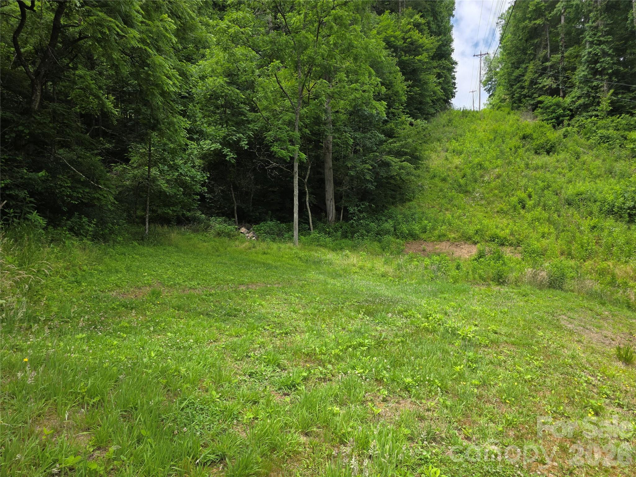 30 Evergreen Road Burnsville, NC 28714 - Photo 13 of 44
