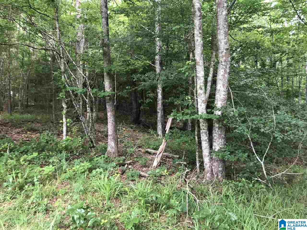 0 Maple Crest Lane Hayden, AL 35079 - Photo 3 of 30