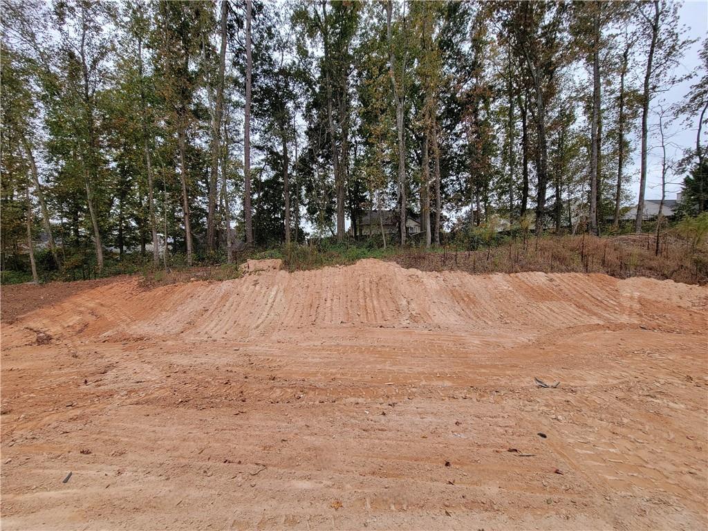 348 Silverleaf Trail Bethlehem, GA 30620 - Photo 21 of 30 a view of yard