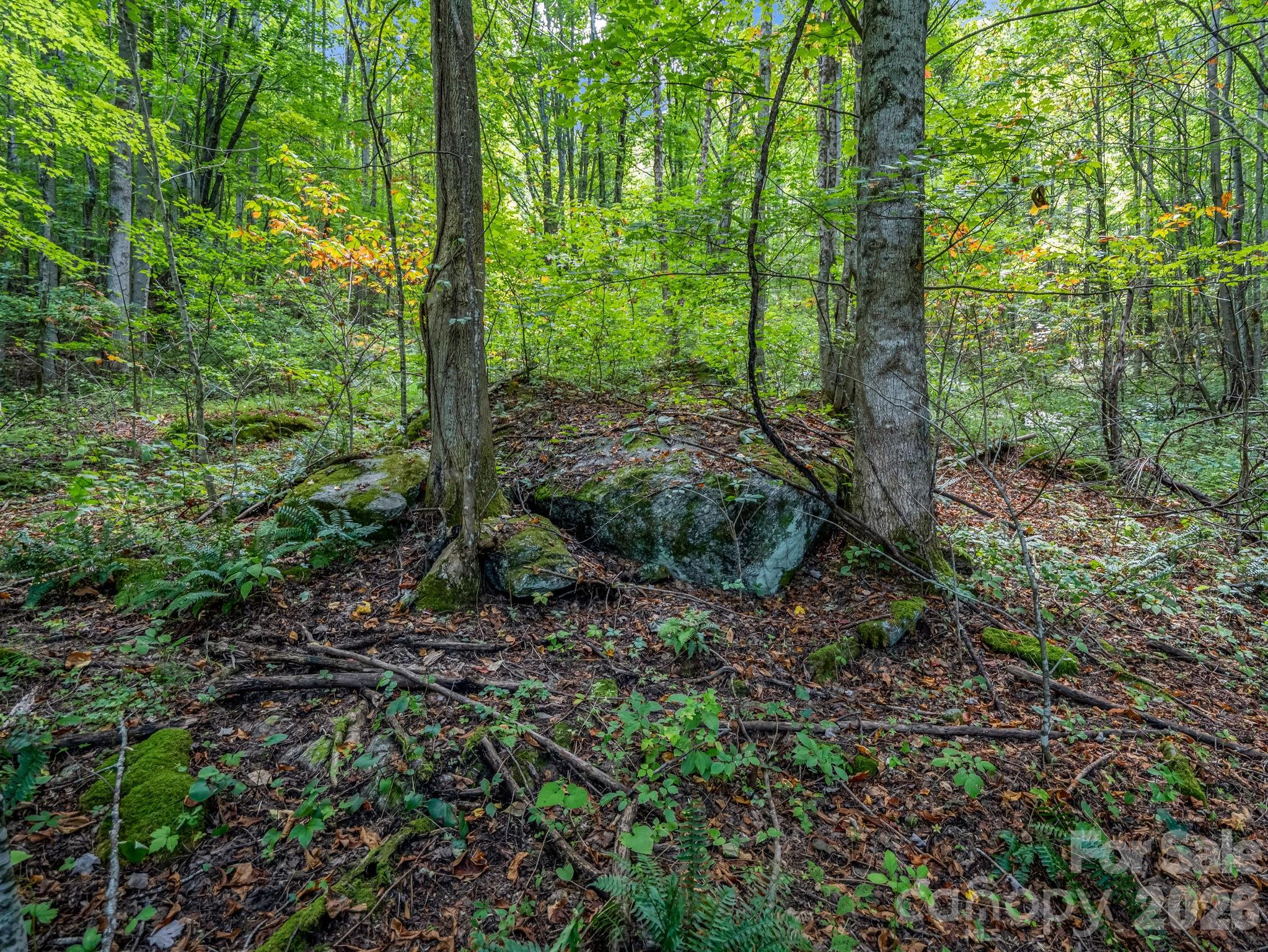 1545 East Fork Road Marshall, NC 28753 - Photo 30 of 31 Gallery Image 30