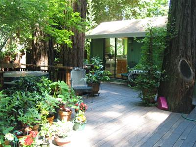 19598 Redwood Drive Monte Rio, CA 95462 - Photo 2 of 10 a garden view with a seating space