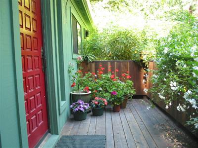 19598 Redwood Drive Monte Rio, CA 95462 - Photo 9 of 10 a view of a wooden bench in a backyard