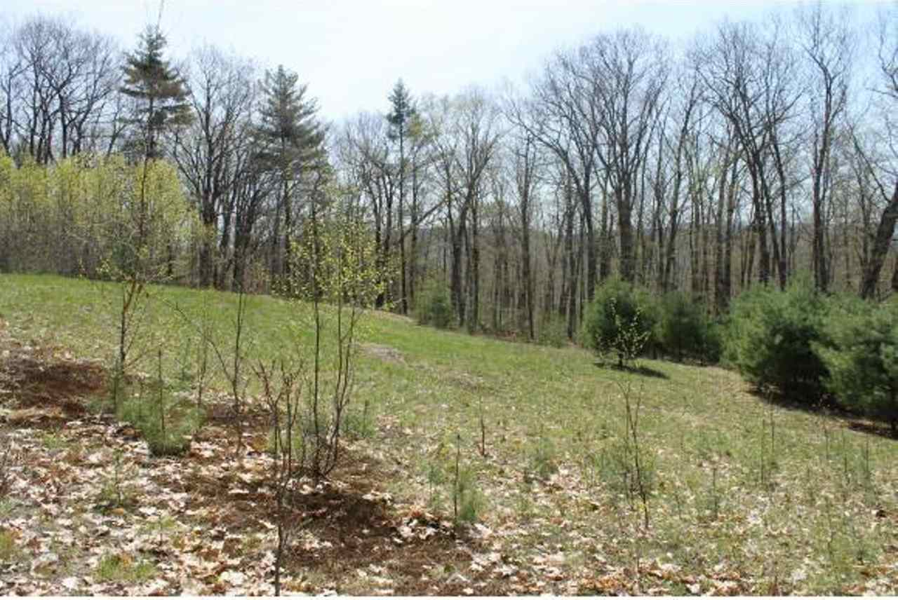 0 Hicks Hill Road Ashland, NH 03217 - Photo 5 of 8