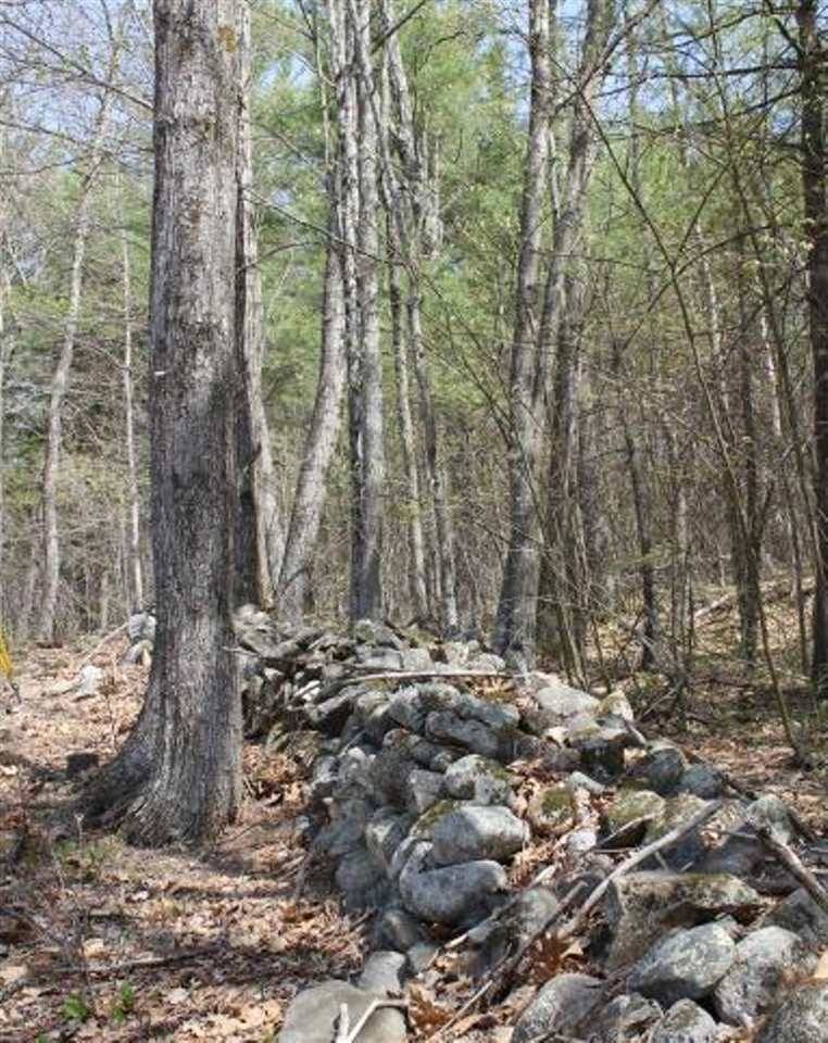 0 Hicks Hill Road Ashland, NH 03217 - Photo 7 of 8