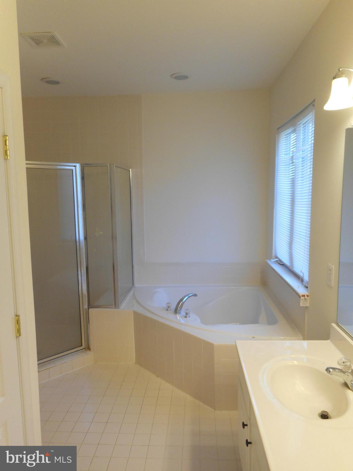 2 Rivers Edge Terrace Indian Head, MD 20640 - Photo 18 of 19 Bath (Master)