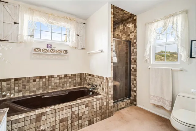 $1,995,000 | 28132 Oak Spring Canyon Canyon, Canyon Country, CA 91387