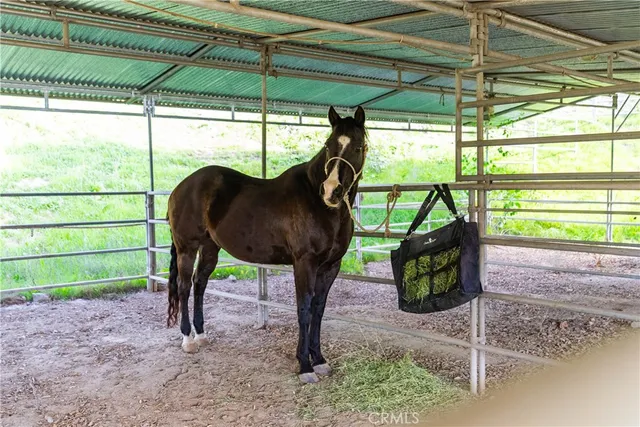 $1,995,000 | 28132 Oak Spring Canyon Canyon, Canyon Country, CA 91387