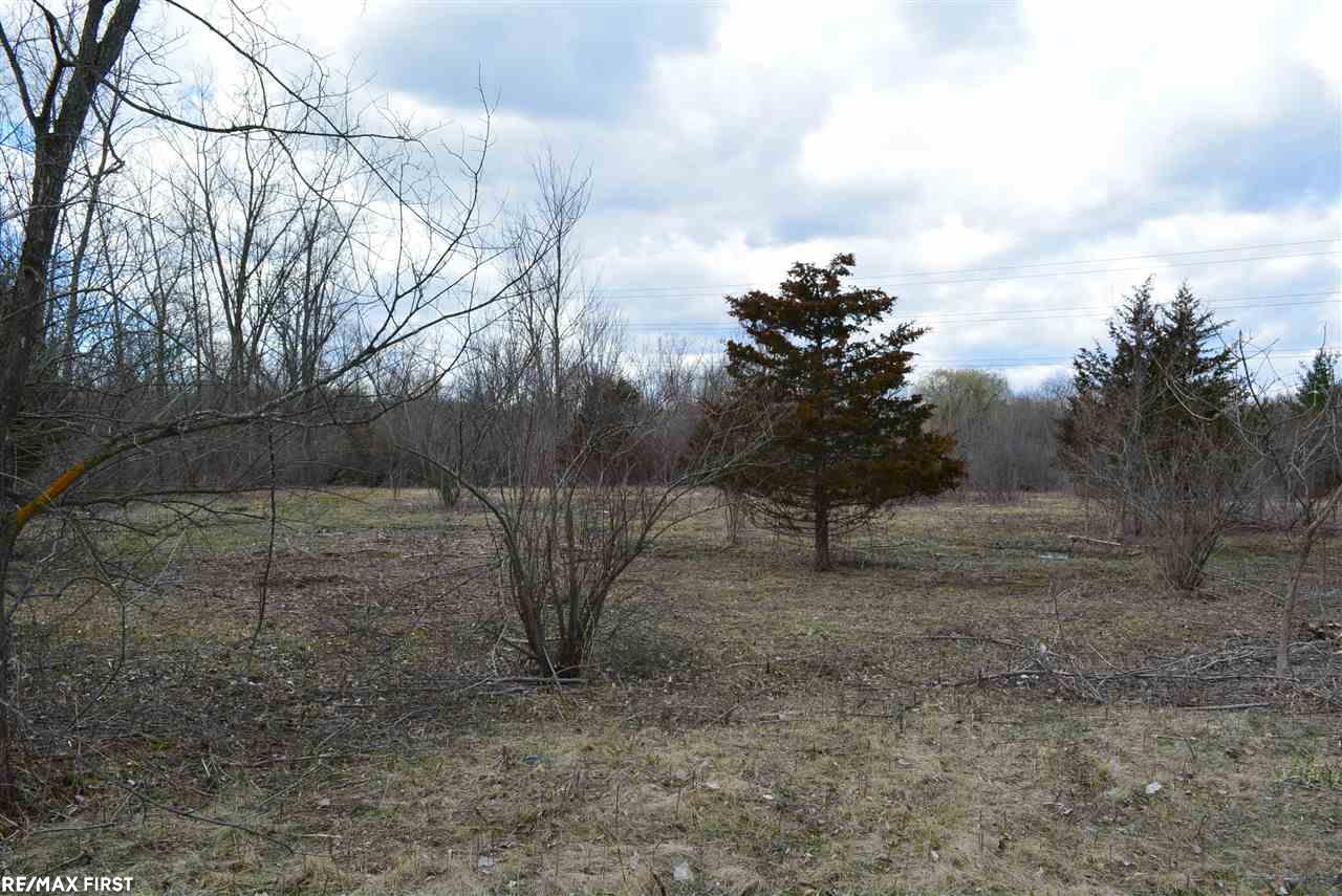 0 Jewell Road Utica, MI 48315 - Photo 3 of 7