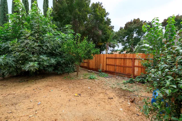 a view of a yard with plants and a tree