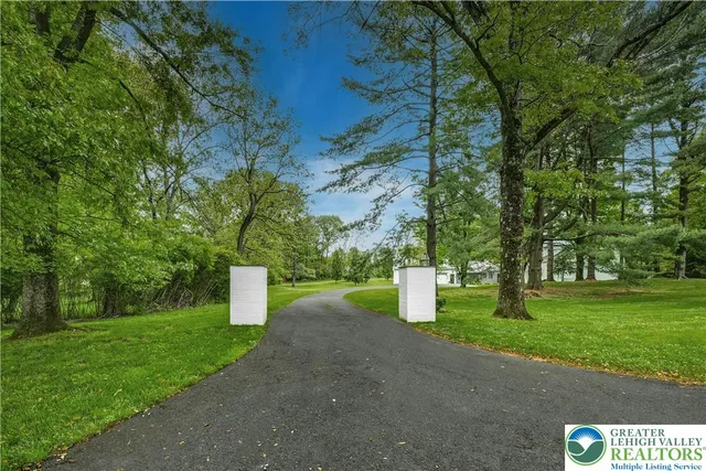 a view of a trees with a yard