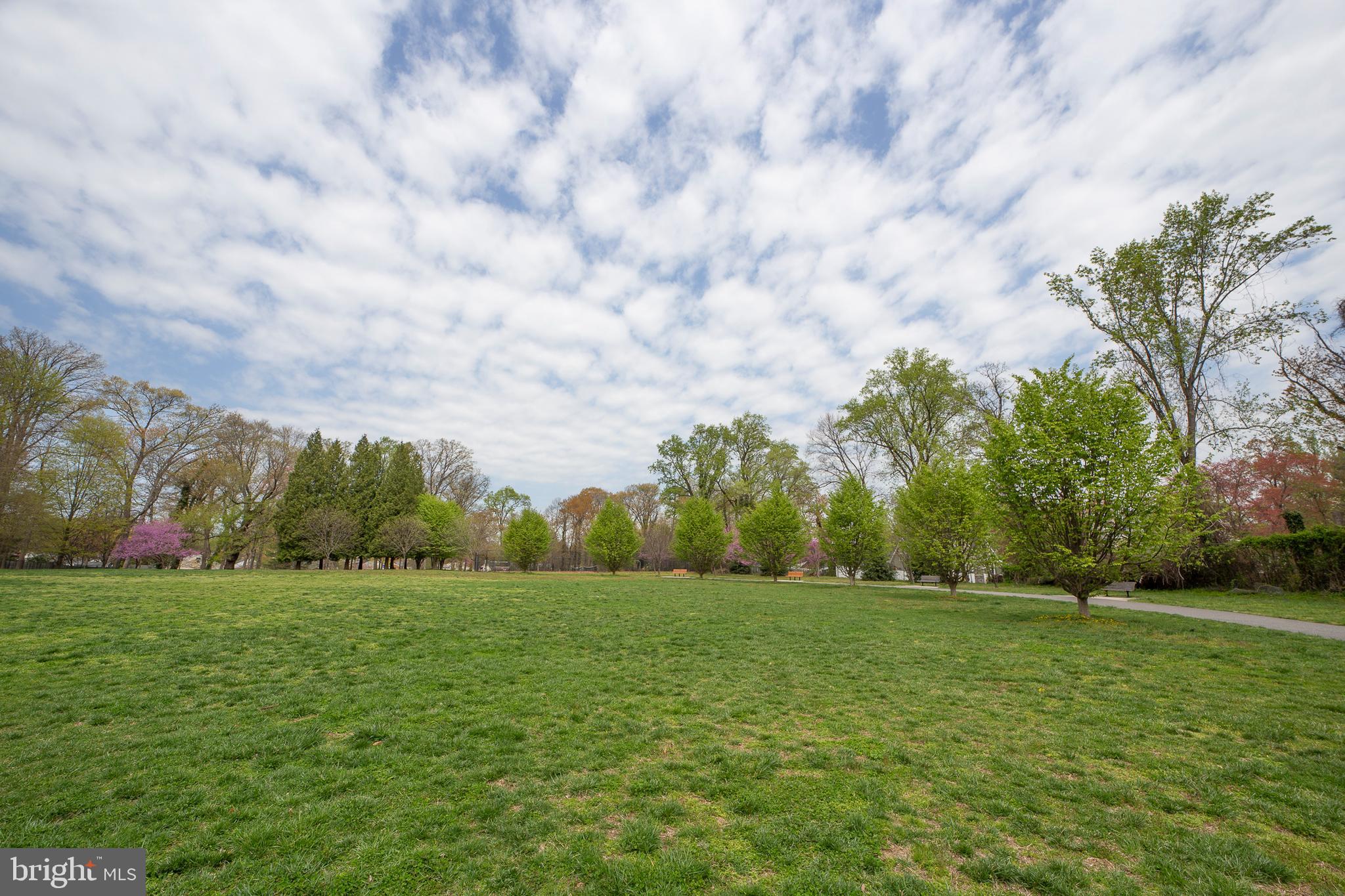 311 Timberwood Avenue Silver Spring, MD 20901 - Photo 43 of 44 a view of grassy field with trees