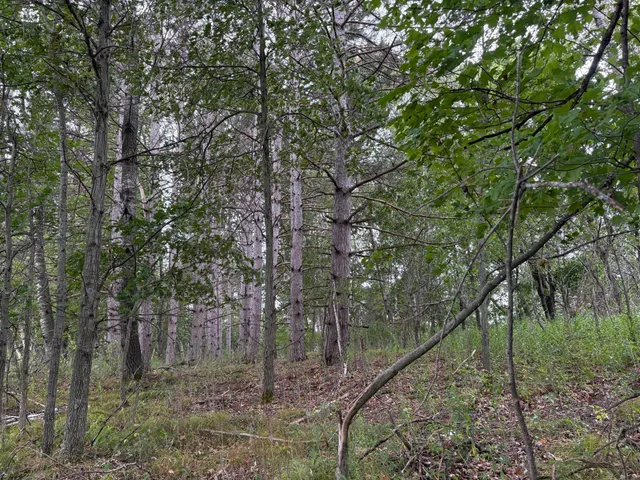 $180,000 | Lot 2 Lever Street Northeast, Isanti, MN 55040