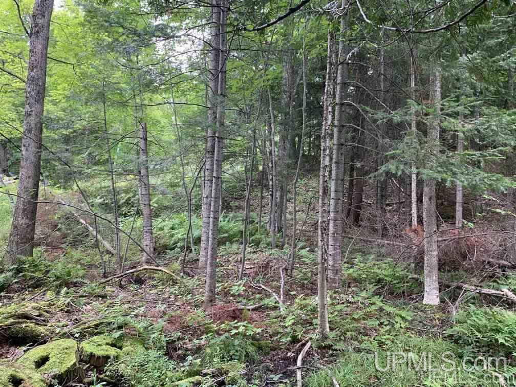 Lot 1 Bayview Road Lanse, MI 49946 - Photo 9 of 27