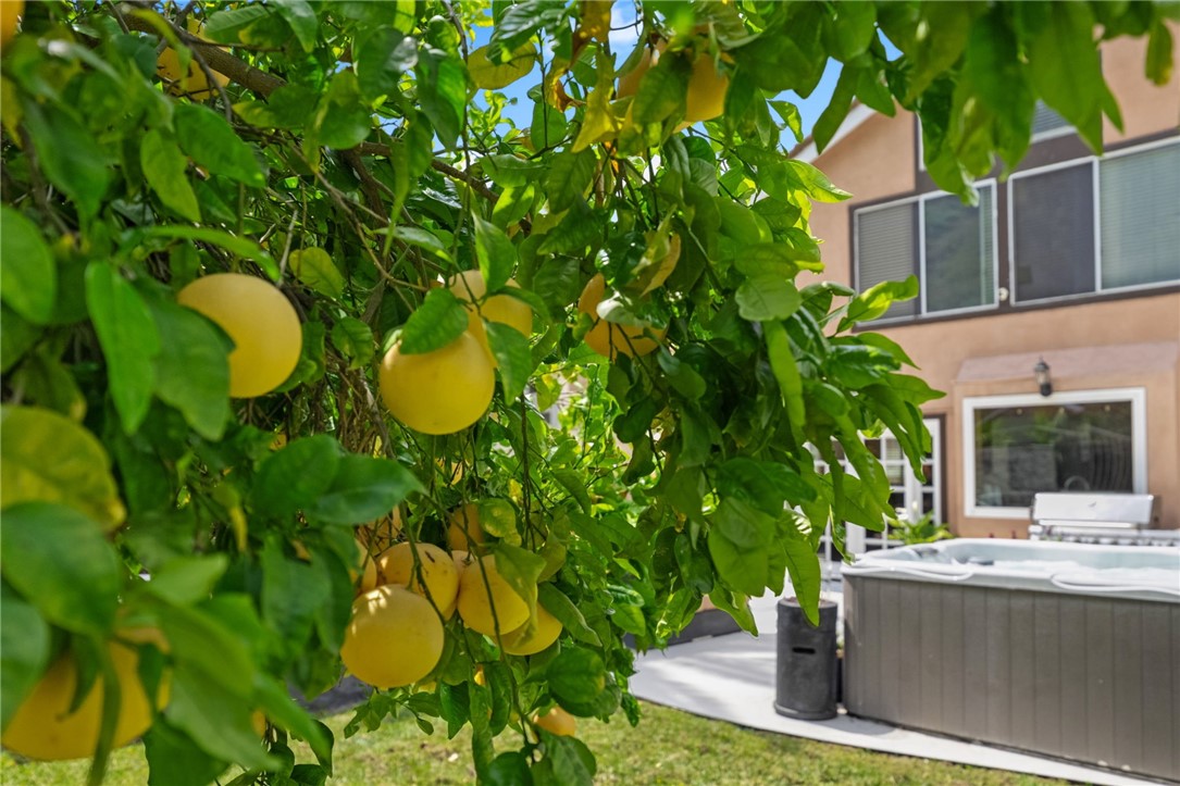 1441 San Almada Road Corona, CA 92882 - Photo 31 of 48