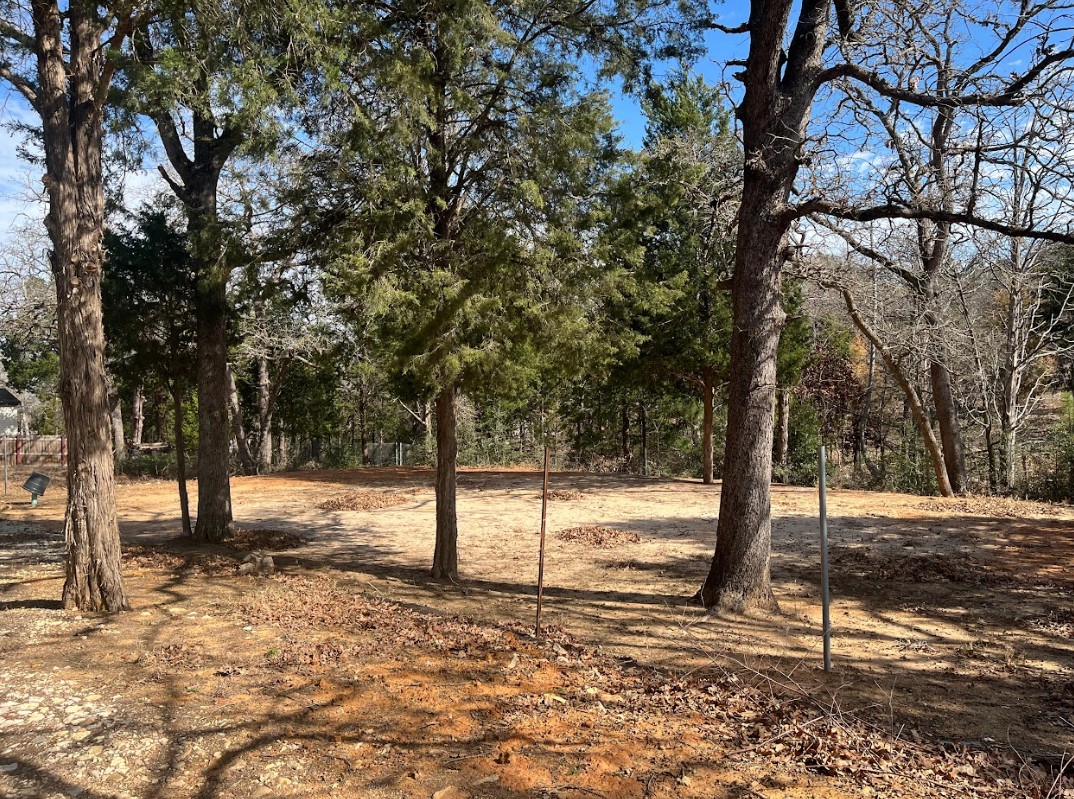 104 Lilly Lane Elgin, TX 78621 - Photo 7 of 18 a view of empty room with a tree